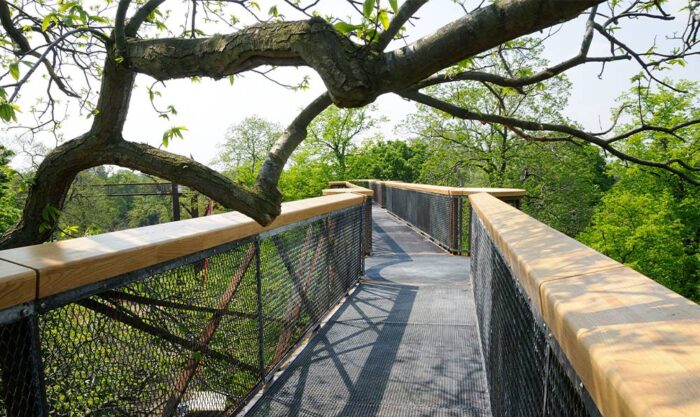 kew gardens treetop walkway (c) rbg kew