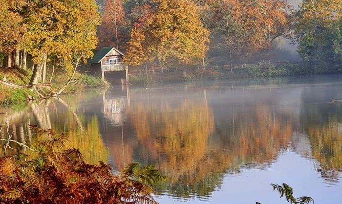 Where to see explosive autumnal colours