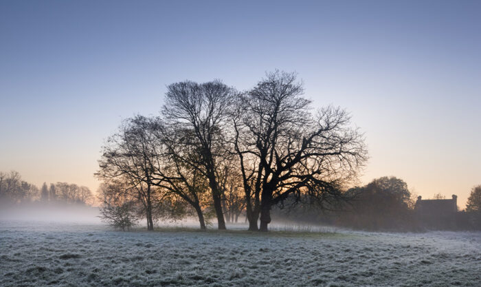 A winter's dawn at Morden Hall Park (c) National Trust Images Andrew Butler