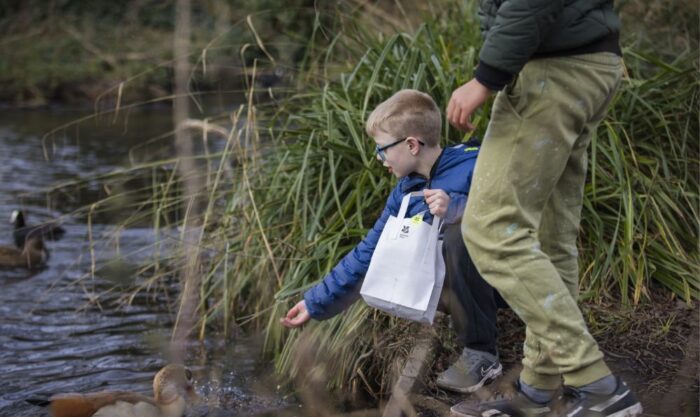 duck detective trail (c) national trust images Megan Taylor