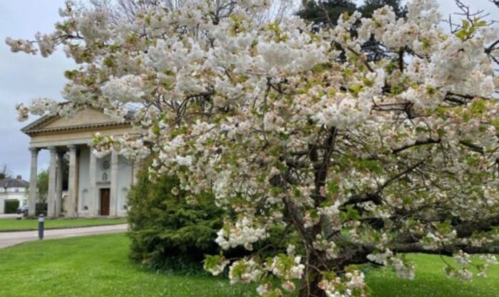 springtime at gatton