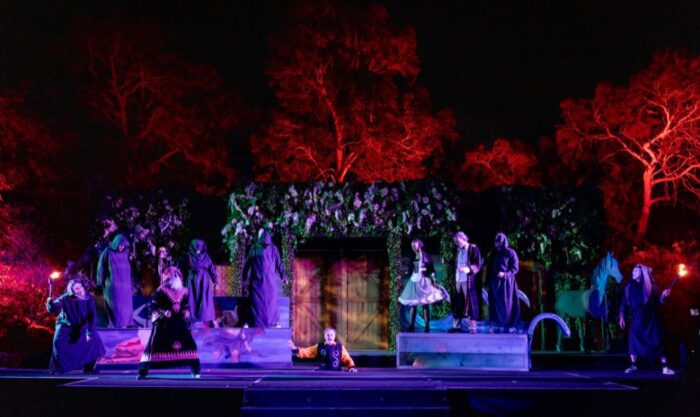twelfth night 2