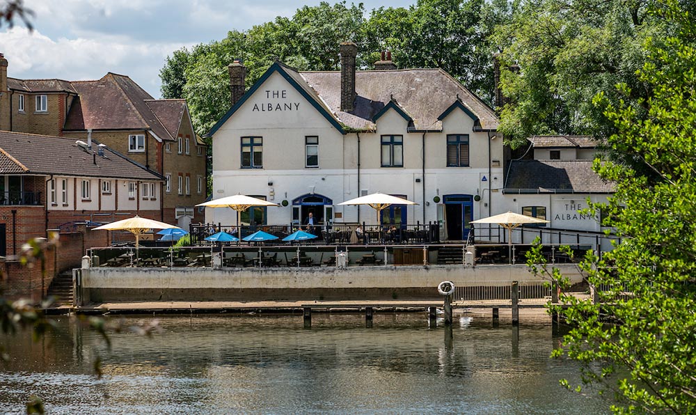 the albany