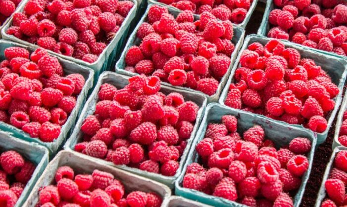 berries
