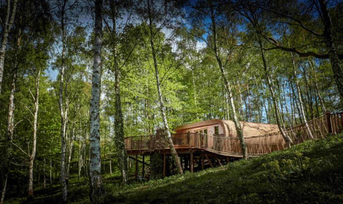 Fish-Hotel-review-Treehouse-web.jpg.pagespeed.ce.yBpykVlBmx