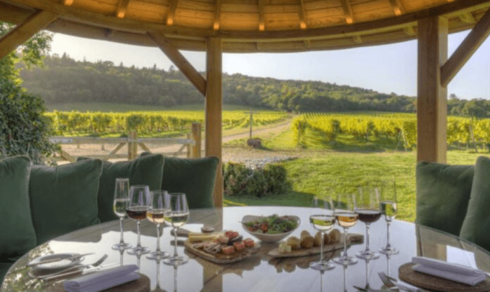Tours and trails with great wine