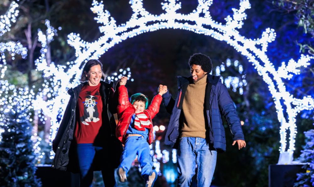 Magical Christmas Light Trails in London and Surrey