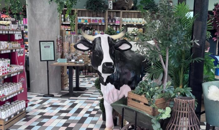 the black farmer